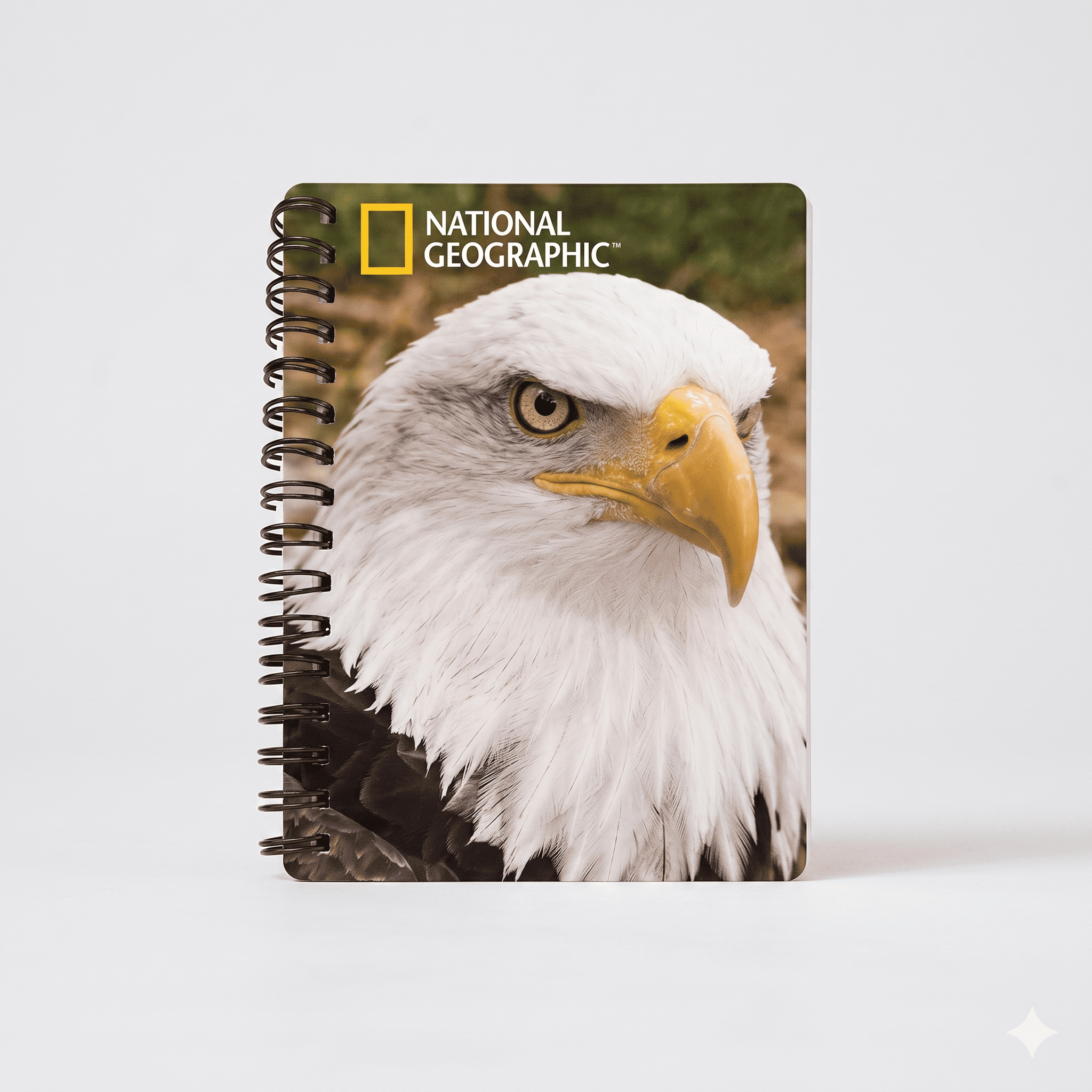 Bald Eagle 3D Cover A6 Diary