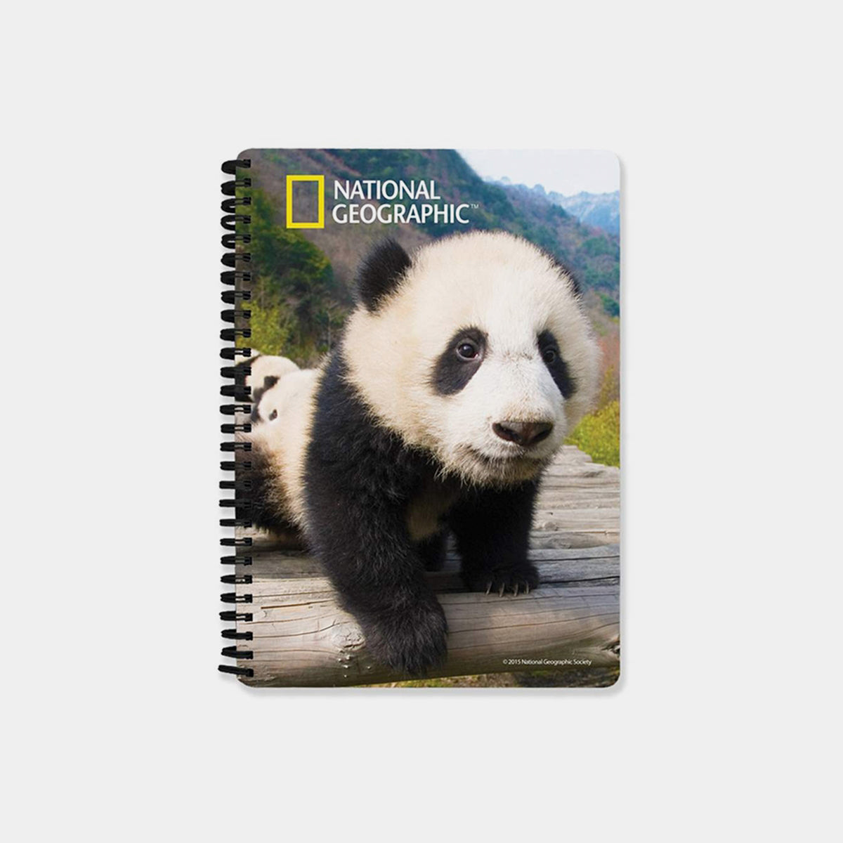 Panda 3D Cover A5 Diary - Designer Studio - Showpiece