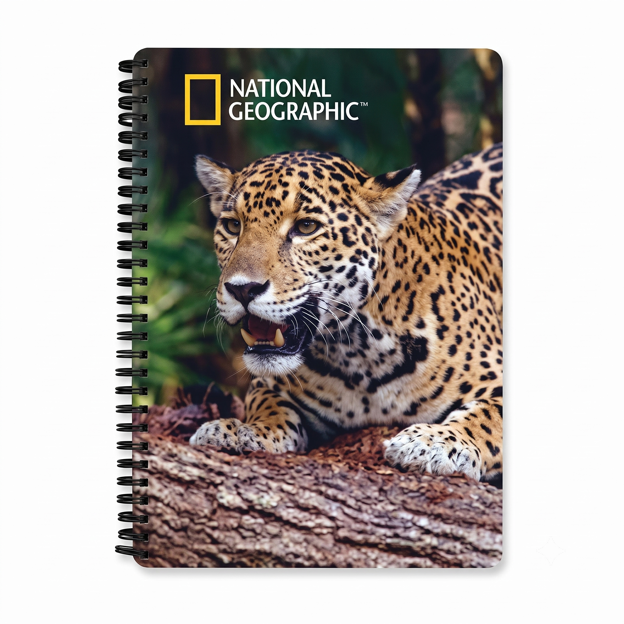 Jaguar 3D Cover A5 Diary