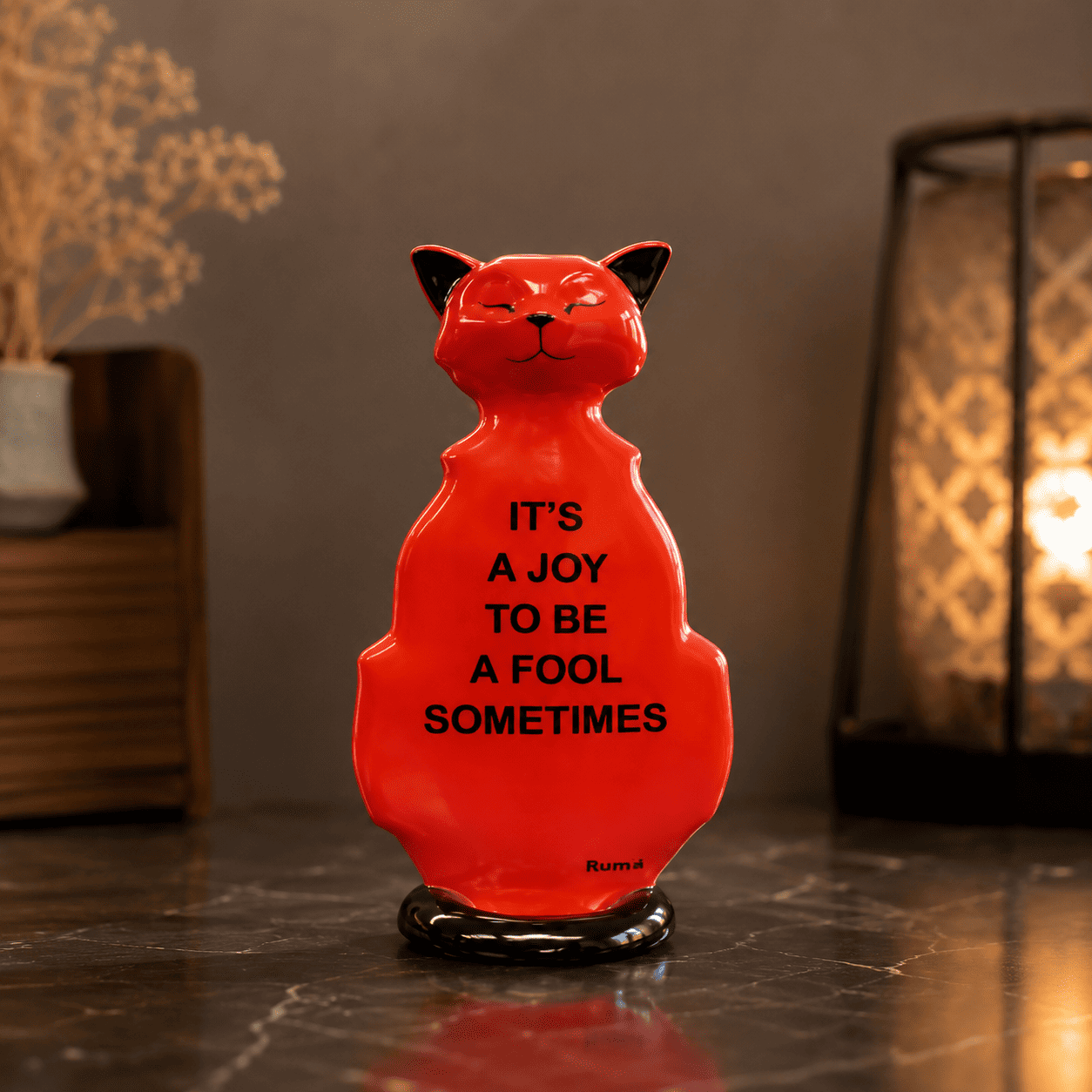Wise Cat To Be Fool