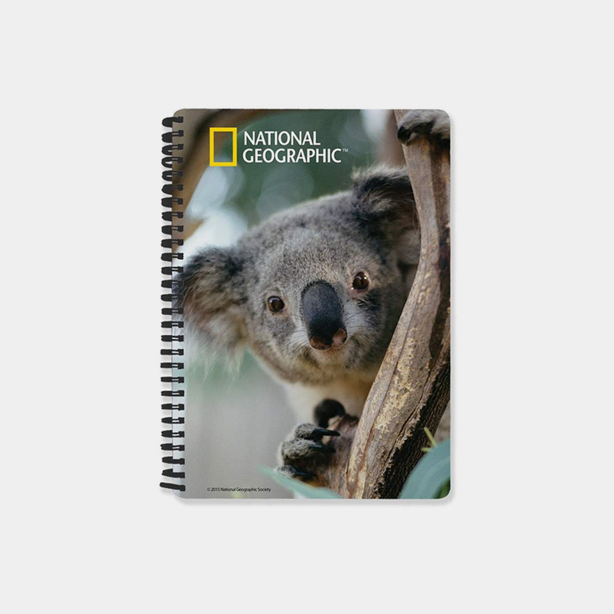 Koala 3D Cover A5 Diary - Designer Studio - Showpiece