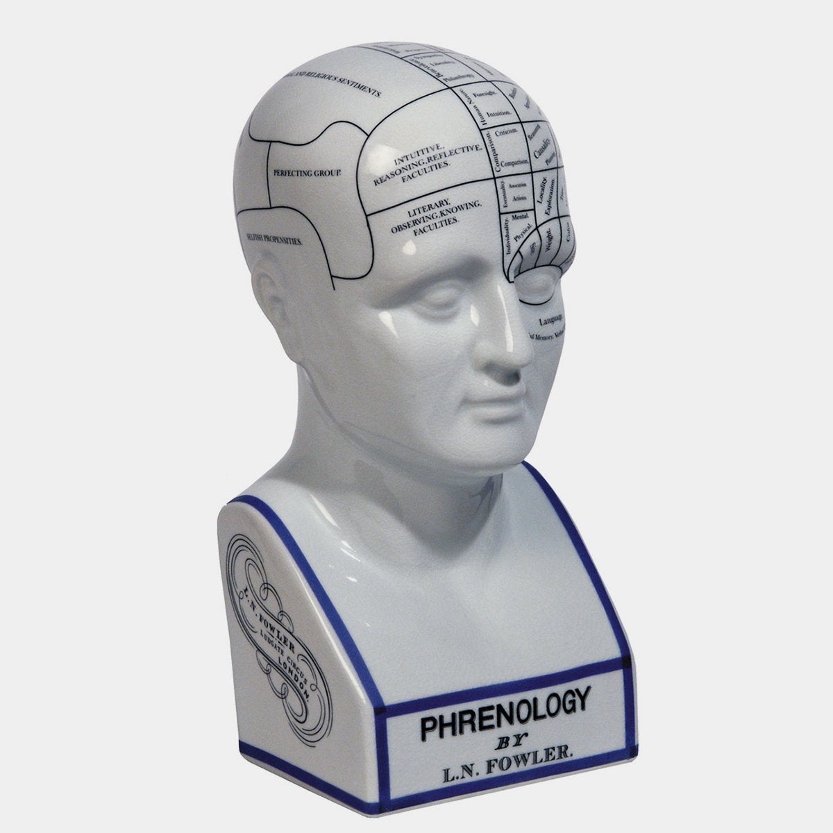 Phrenology Head - Designer Studio - unique gifts