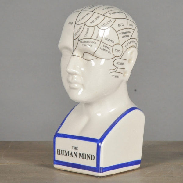 Phrenology Skull - Design