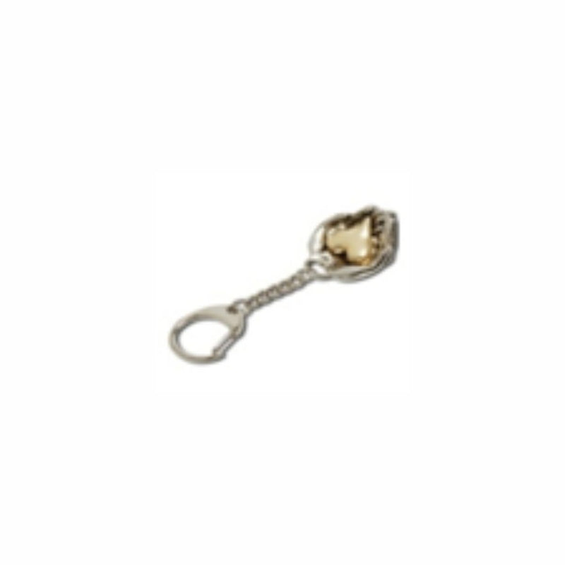 Precious Keychain - Artefacts